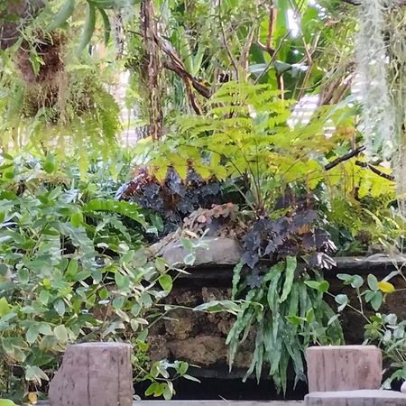 Sareeviengping Hotel Chiangmai Τσιάνγκ Μάι Εξωτερικό φωτογραφία
