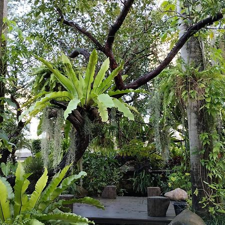 Sareeviengping Hotel Chiangmai Τσιάνγκ Μάι Εξωτερικό φωτογραφία